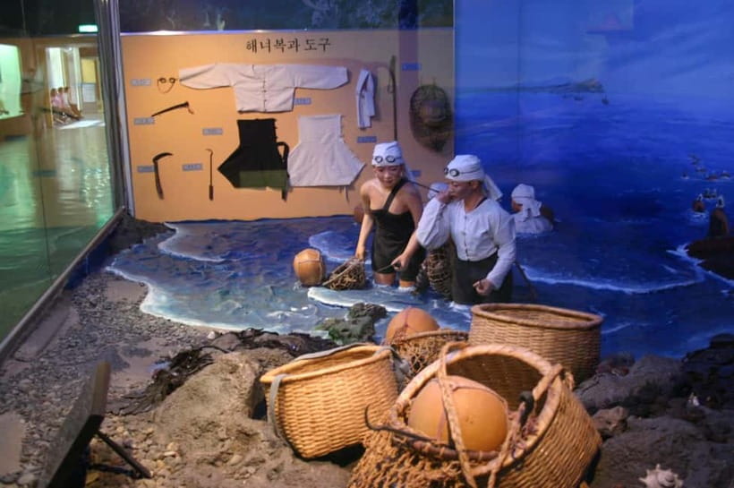 Jeju Highlights Day Trip (East Course) - Saryeoni Forest and Jeju’s quiet side