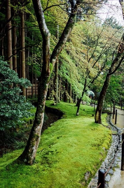 Jeju Highlights Day Trip (East Course) - Seongeup Folk Village and older Jeju life