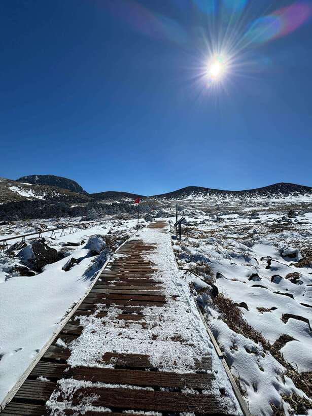 Jeju: Hiking Mt. Hallasan, South Korea's Highest Mountain - Witse Oreum: lunch at 1,700 meters