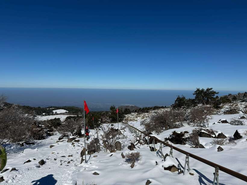 Jeju: Hiking Mt. Hallasan, South Korea's Highest Mountain - What the guide adds to the day