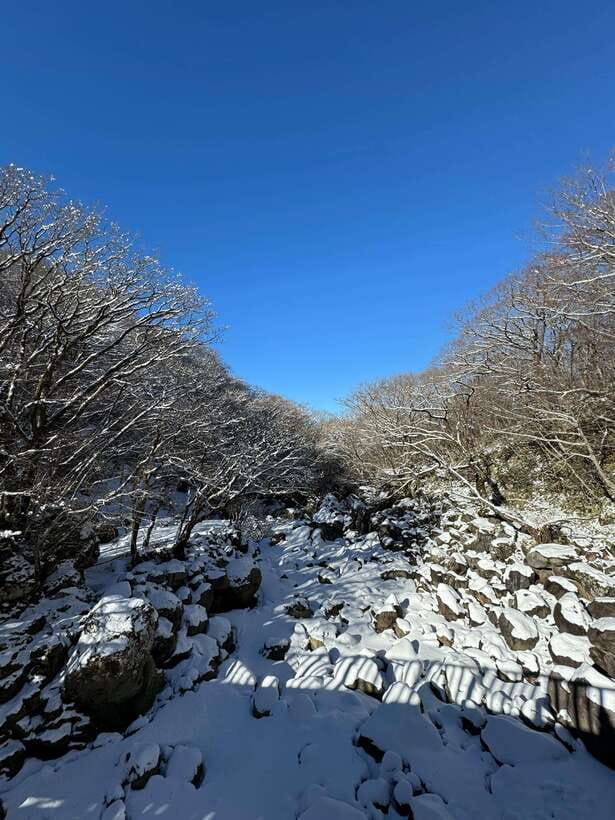 Jeju: Hiking Mt. Hallasan, South Korea's Highest Mountain - Small details that make the day easier