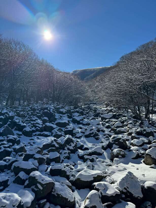 Jeju: Hiking Mt. Hallasan, South Korea's Highest Mountain - Meeting your guide at Eorimok