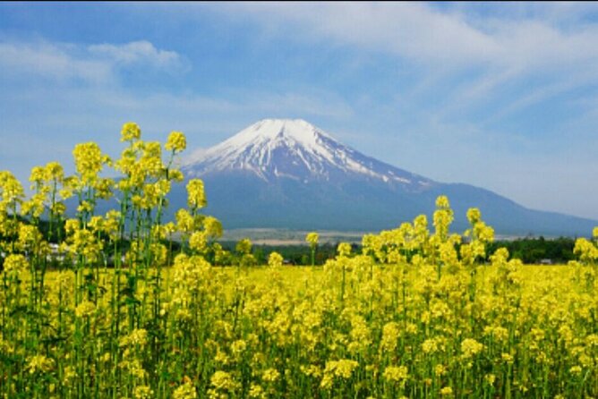 Jeju Island Bus Tour Or Taxi Tour in the East of Jeju island - A Nine-Hour Route Through Jeju’s East
