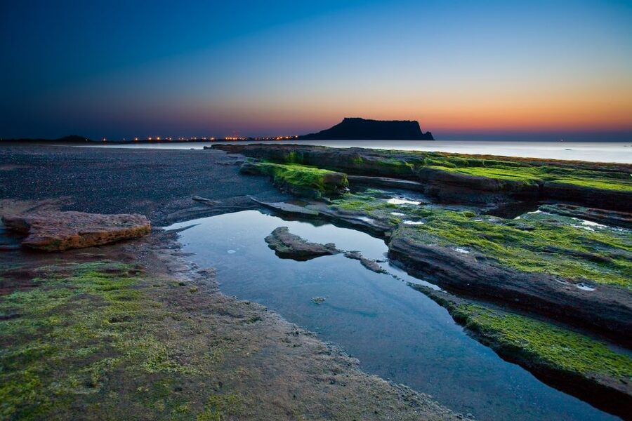 Jeju Island: Customized Private Full-Day Van Tour - Why a Private Jeju Tour Makes Sense