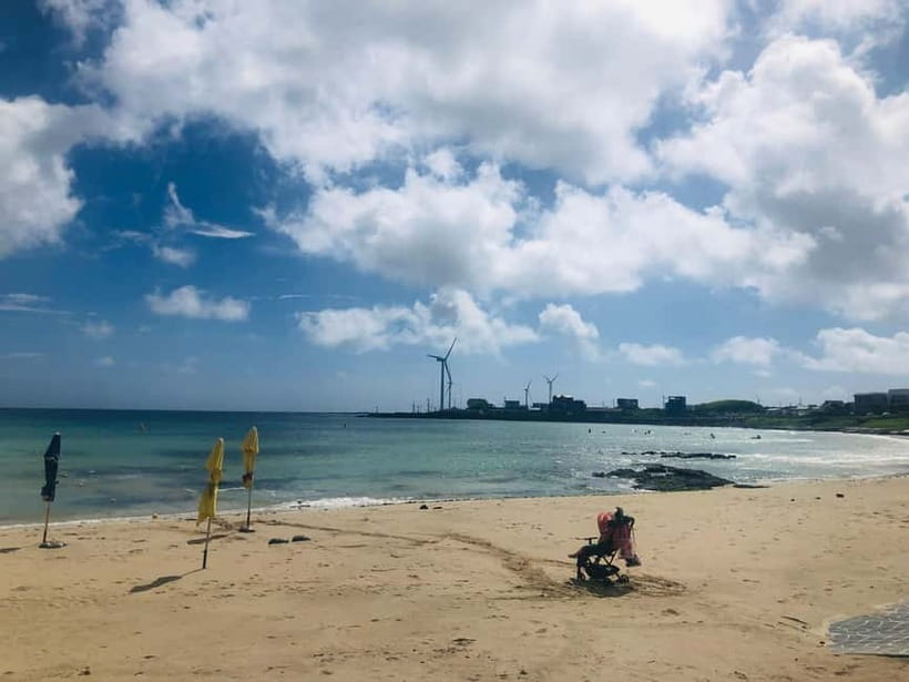 Jeju Island: Customized Private Full-Day Van Tour - Starting Around 9:00 AM With A Plan