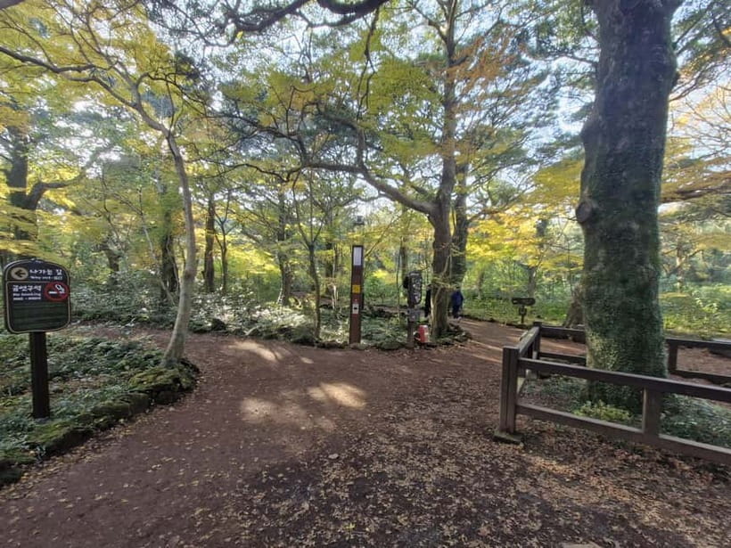 Jeju Island: Eastern Tour for Leisurely Walkers - The volcanic profile of Seongsan Ilchulbong