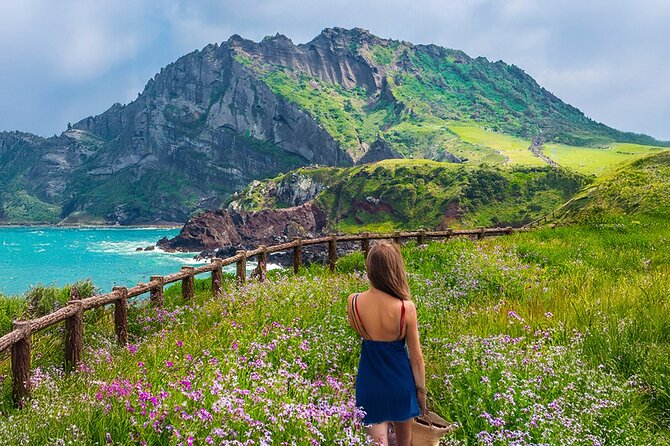 Jeju island Eastern UNESCO site Full Day Guided Tour - Ilchulland adds gardens and a lava cave