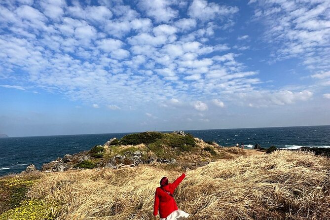 Jeju Island English Private & Flexible Tour any number anywhere - Choosing the east, south, or west route