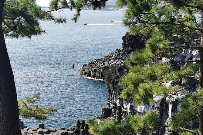 Jeju Island English Private & Flexible Tour any number anywhere - The guides can shape the quality of the day