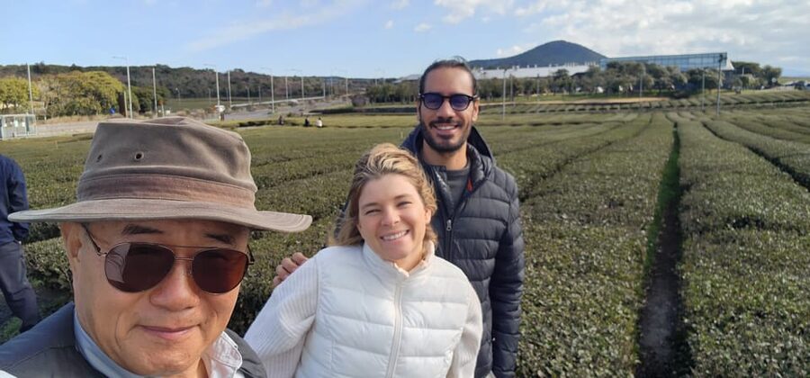 Jeju Island: Full-Day Customizable Private Guided Car Tour - Green tea, museums, and a slower middle of the day
