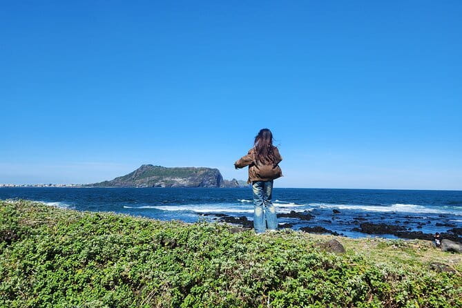 Jeju Island -Full Day Flexible Sightseeing Private (Guide tour) - Seopjikoji and Aqua Planet for a full east route