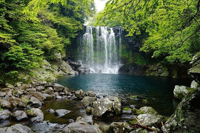 Jeju Island -Full Day Flexible Sightseeing Private (Guide tour) - Jusangjeolli and Cheonjiyeon Waterfall