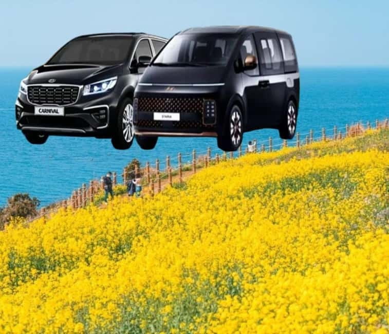 Jeju Island: Private Car Charter Tour - Key points to know before booking