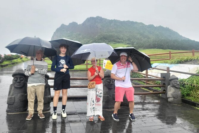 Jeju island Private Day Tour for Cruise Customers - Why a private Jeju cruise tour can be worth the price