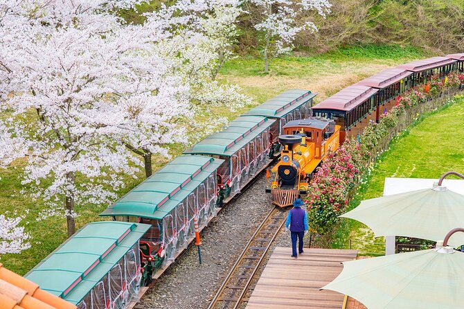 Jeju island private DAY Tour - South of Jeju - Key points to know before you book