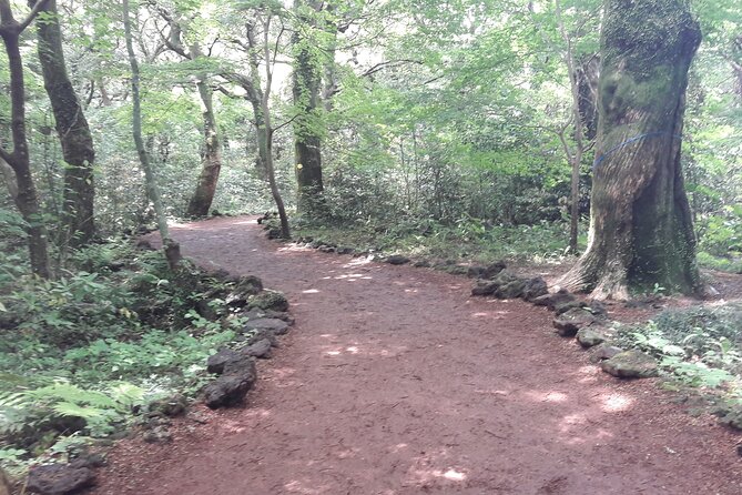 Jeju island private DAY Tour - South of Jeju - Yongmeori Coast and its weather-sensitive sandstone