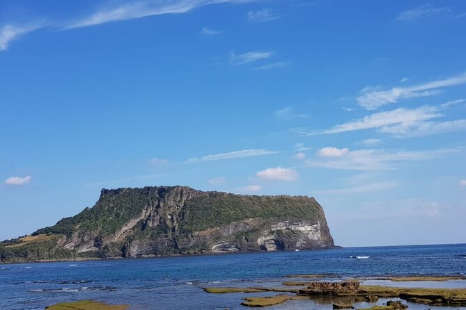 Jeju island private DAY Tour - South of Jeju - O’sulloc Tea Museum and the Seogwang tea fields