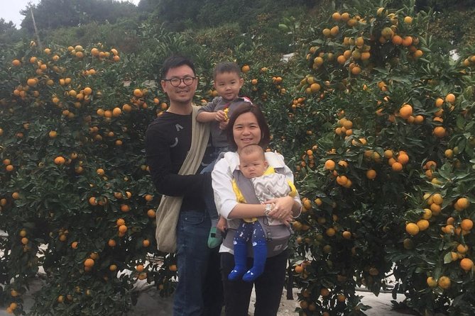 Jeju Island Private Taxi Tour : 2 Full days - FAQ