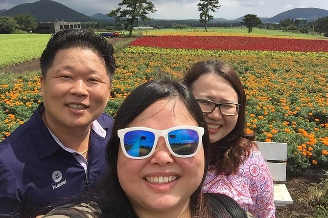 Jeju Island Private Taxi Tour : 3 Full days - Who should book this three-day tour?