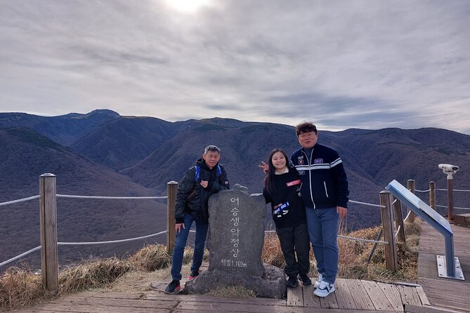 Jeju Island Private Taxi Tour: Mt. Hallasan and Waterfalls - Key points to know before booking