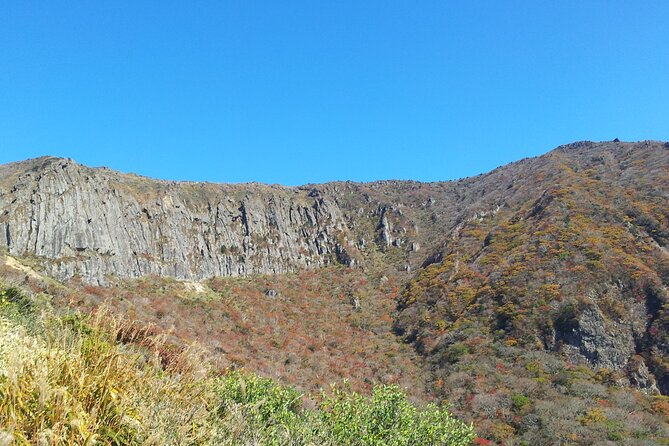 Jeju Island Private Taxi Tour: Mt. Hallasan and Waterfalls - Dokkaebi Road and the car that seems to roll uphill