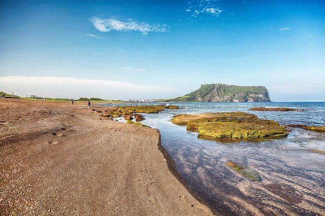 Jeju Island Private Taxi Tour : UNESCO Day Tour - Why a private taxi makes sense on Jeju