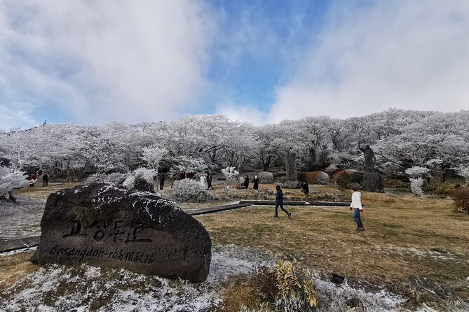 Jeju island Private Tour - UNESCO Day Tour & Haenyeo Performance - Seongeup Folk Village and a Look at Older Jeju Life
