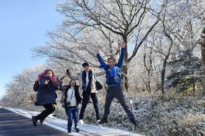 Jeju island Private UNESCO Tour - For Cruise customer - How the timing works on a cruise day