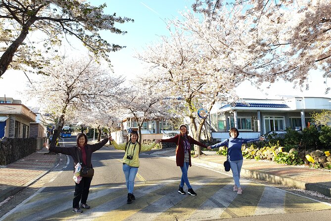 Jeju island Private UNESCO Tour - For Cruise customer - Starting from Gangjeong Cruise Terminal: the southern route