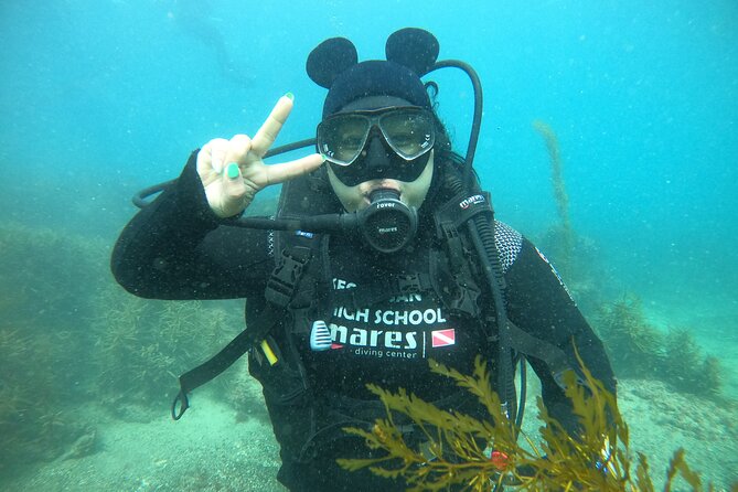 Jeju Island, Seongsan Ilchulbong, Discover Scuba Diving - Thirty minutes below the surface