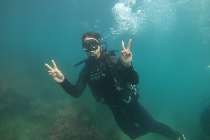 Jeju Island, Seongsan Ilchulbong, Discover Scuba Diving - Is $69.18 a fair price?