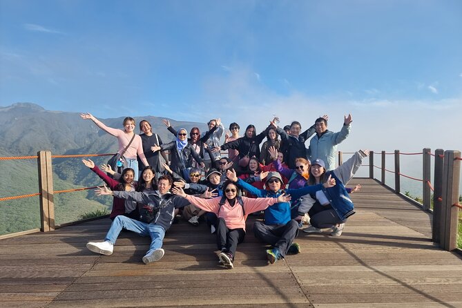 Jeju island Southern UNESCO Day Tour With Hallasan MT - O’sulloc Tea Museum and Jeju tea culture