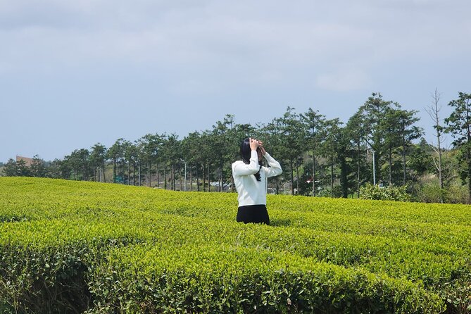 Jeju island Southern UNESCO Day Tour With Hallasan MT - Lunch, transport, and the shape of the day