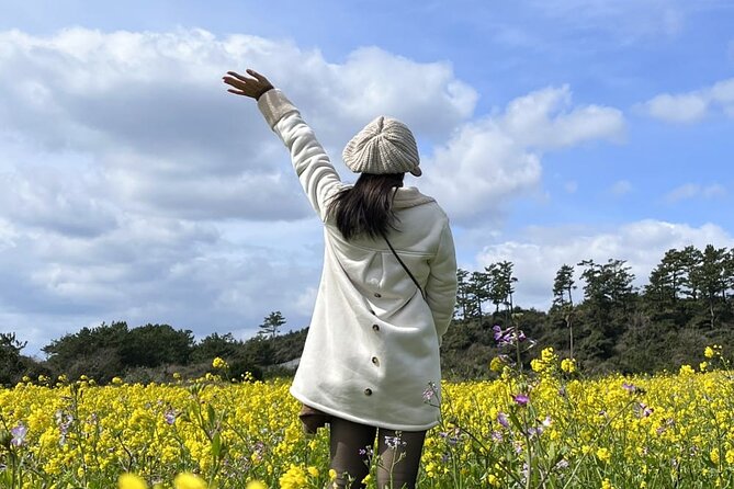 Jeju island Southern Unesco Mt.halla ONE day Bus Tour - Why this southern Jeju route works