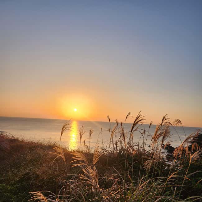Jeju Island: Sunrise Guided Tour with Hotel Pickup - An hour for views, photos, and fresh air
