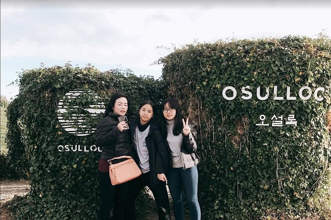 Jeju Island Taxi Tour - West Day Tour - Cheonjeyeon Falls gives the route a green pause