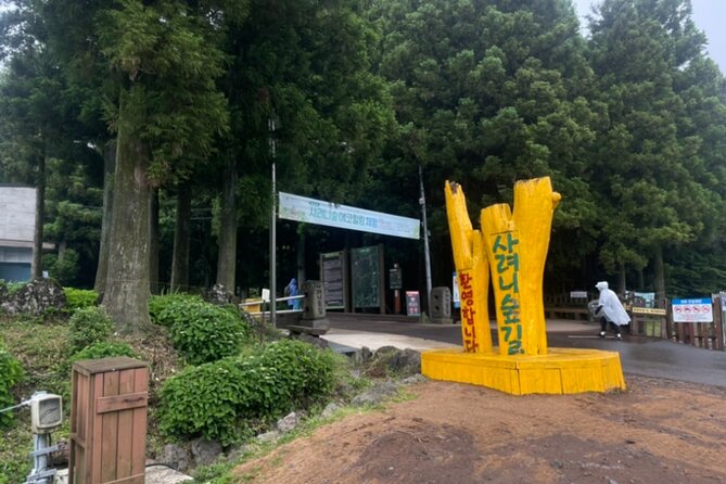 Jeju Island UNESCO Heritage Bus Tour - Western Jeju: Mt. Halla, cliffs, flowers, and tea