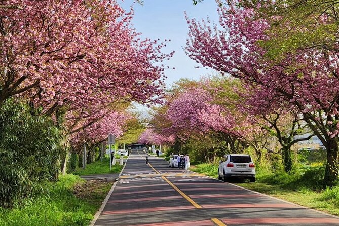 Jeju Island UNESCO small group Join tour(Taxi, van & bus) - Transport, Group Size, and Pace
