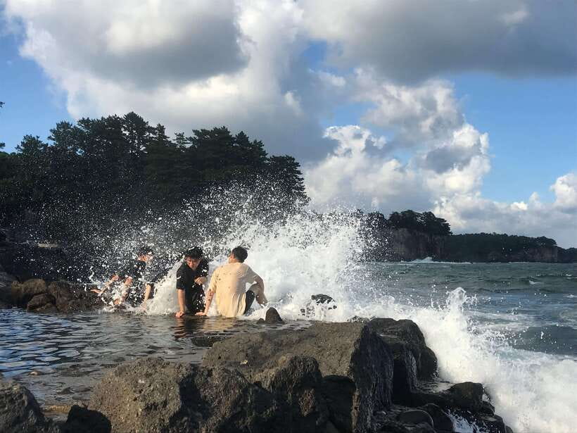 Jeju Island: Van Tour with a Guide Who Most Loves Jeju - Key points at a glance