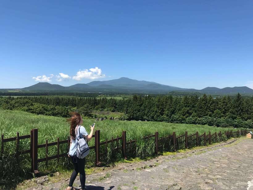 Jeju Island: Van Tour with a Guide Who Most Loves Jeju - Why a private Jeju day can make sense