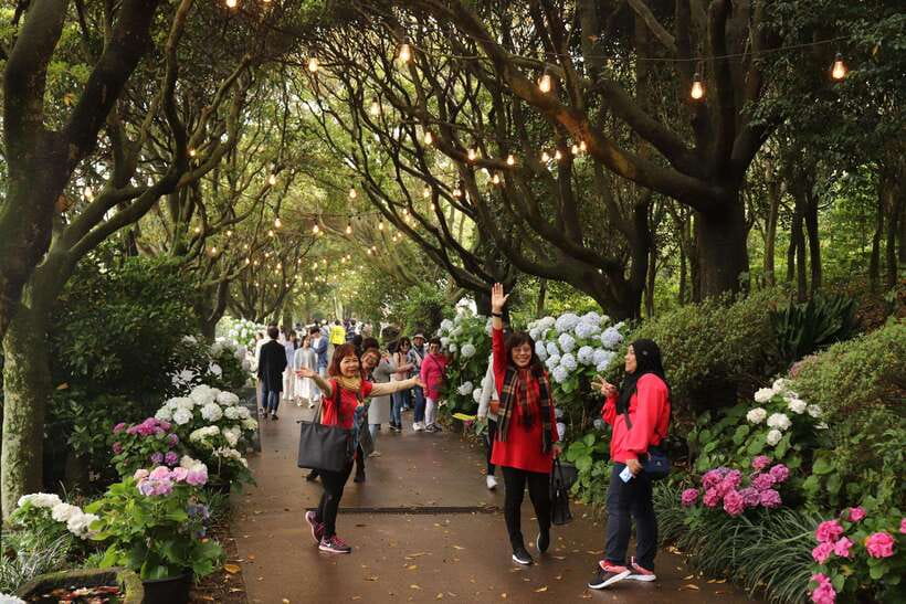 Jeju Island: Van Tour with a Guide Who Most Loves Jeju - Woljeongri brings a slower coastal break