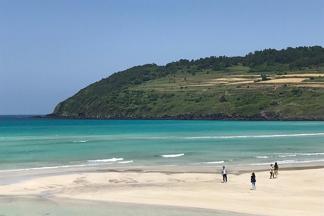 Jeju island: Van tour with a guide who the most loves JEJU - Making time for Seongsan Ilchulbong