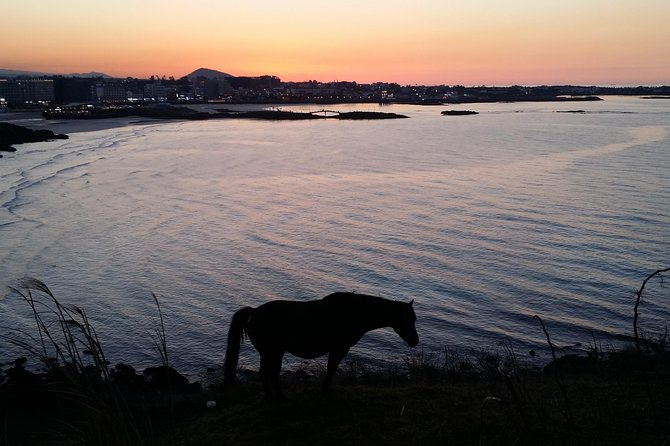 Jeju island: Van tour with a guide who the most loves JEJU - How Fabio’s guiding style affects the day