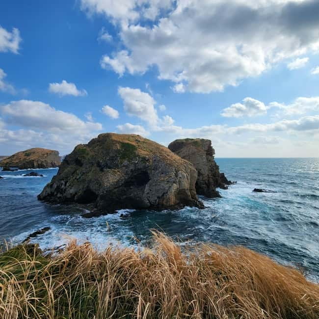 Jeju: Popular Sightseeing Private Car Charter Tour - Timing, pickup, and what to bring
