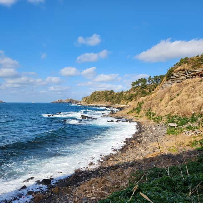Jeju: Popular Sightseeing Private Car Charter Tour - Understanding the $265 group price