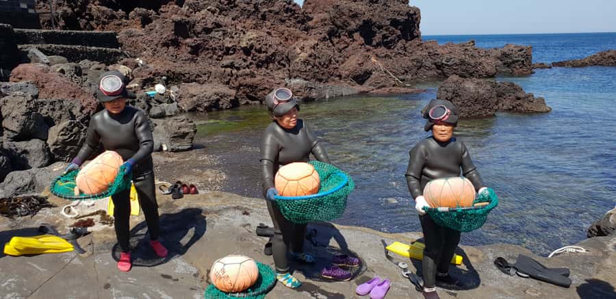 Jeju Premium Small Group UNESCO Day Tour - East - Why this east Jeju tour makes sense