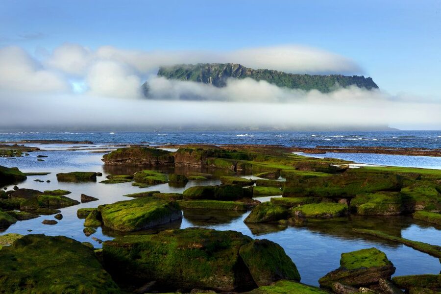 Jeju Premium Small Group UNESCO Day Tour - East - Transport, pickup, and the limits of the schedule