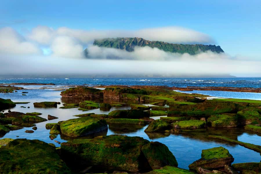 Jeju Premium Small Group UNESCO Day Tour - East - Woljeongri Beach begins the day beside emerald water