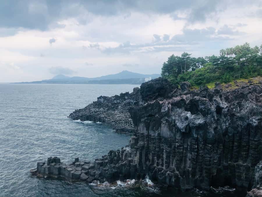 Jeju Premium Small Group UNESCO Day Tour - South - Ending among Jeju’s green tea fields