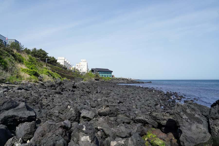 Jeju Premium Small Group UNESCO Day Tour - West - Osulloc Green Tea Fields and Tea Museum